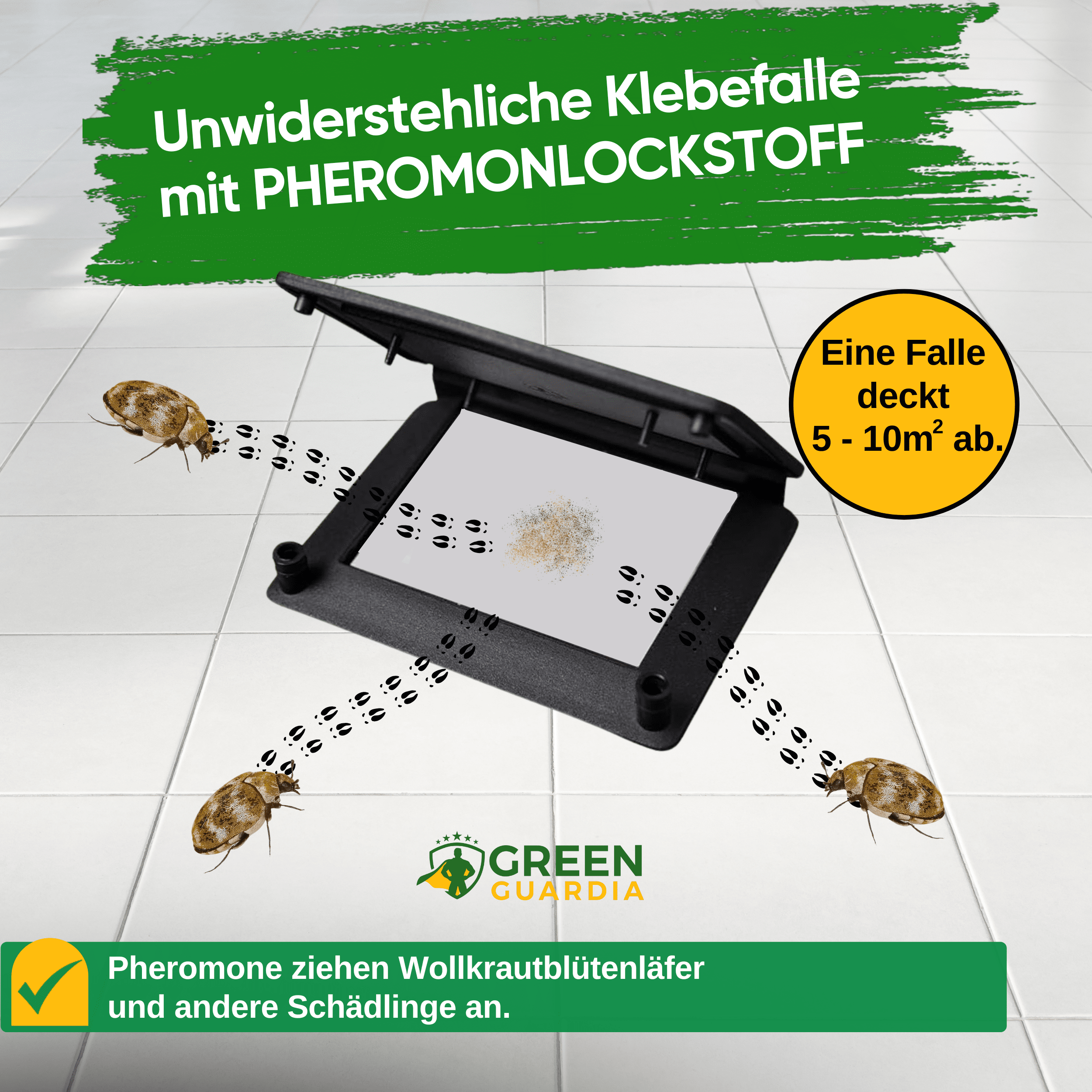 Wollkrautblütenkäfer Falle mit Pheromon - Lockstoff - Green Guardia - Ihr Experte für Schädlinge und Pflanzen
